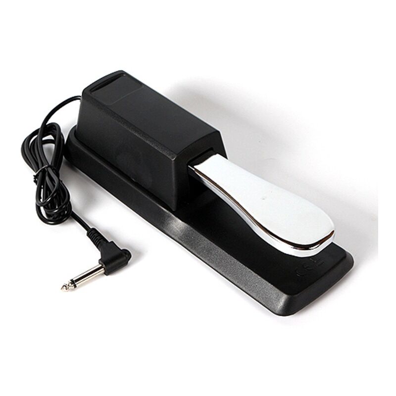 Pedale continuo per tutte le tastiere elettroniche...