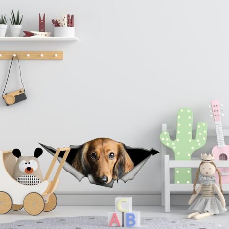 Pegatina 3D personalizada para coche y pared – Pegatina de PVC ecológica e impermeable para ventanas rotas con motivo de mascota – Diseño llamativo