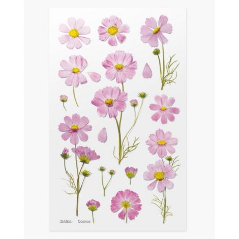 Pegatinas APPREE Flores Cosmos Aster - Pegatinas realistas para agenda