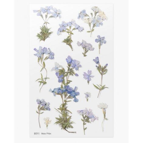 Pegatinas decorativas con flores de Phlox