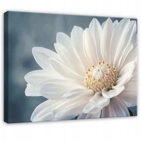 Peinture 3d fleur blanche abstraite pour chambre salon cuisine sur toile 40x30