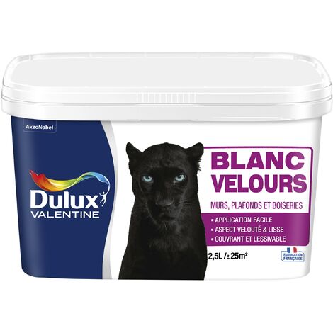 Peinture Blanche Velours pour Murs, Boiseries et Papier Peint - Dulux Valentine