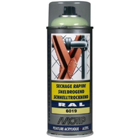 Peinture Aerosol Ral6019 Motip Ral 400 Ml Vert blanc