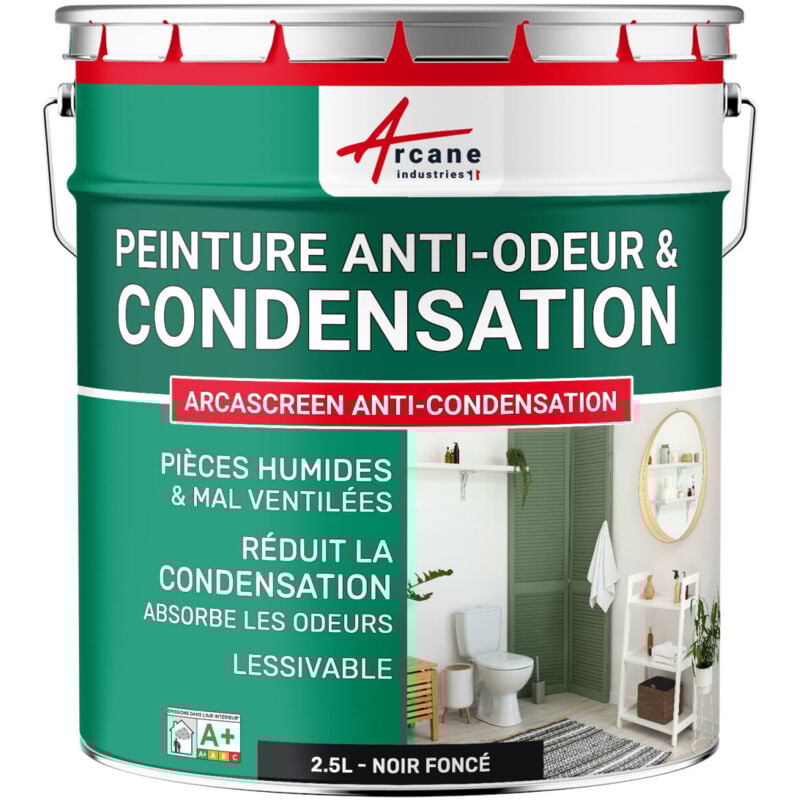 Peinture anti condensation anti odeur moisissure - 2.5 l Noir foncé ral 9005 Arcane Industries