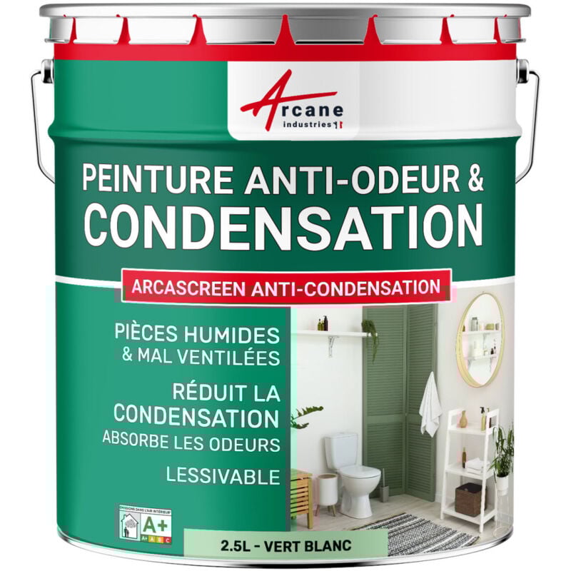 Peinture anti condensation anti odeur moisissure - 2.5 l Vert Blanc - ral 6019 Arcane Industries