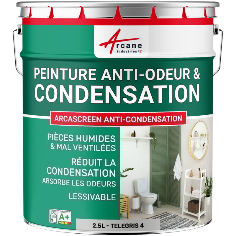 Peinture anti condensation anti odeur moisissure - 2.5 L Telegris 4 - RAL 7047 - ARCANE INDUSTRIES
