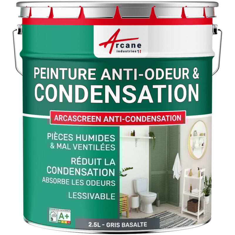 Peinture anti condensation anti odeur moisissure - 2.5 l Gris Basalte - ral 7012 Arcane Industries