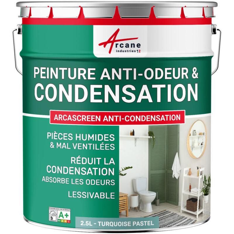 Arcane Industries - Peinture anti condensation anti odeur moisissure - 2.5 l Turquoise Pastel - ral 6034