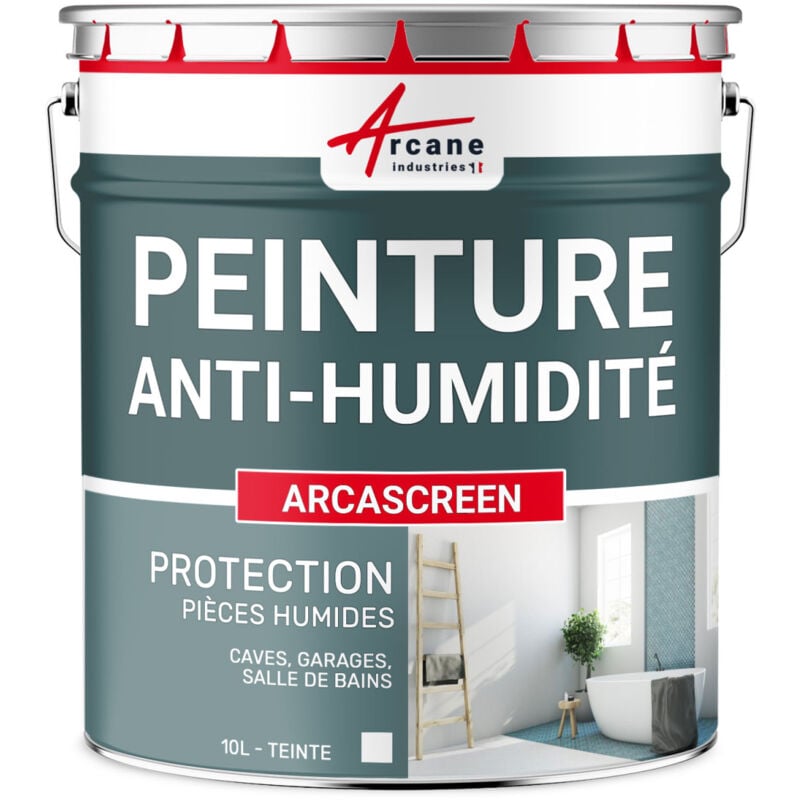 Peinture anti humidité mur humide plâtre béton placo cave sous-sol salle de bain sdb anti moisissure salpêtre isolante arcascreen - 10 l (jusqu'à 40
