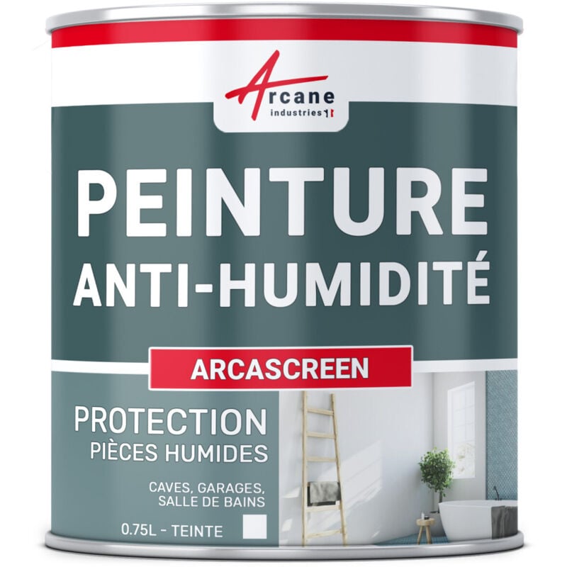 Arcane Industries - Peinture anti humidité pour mur humide en