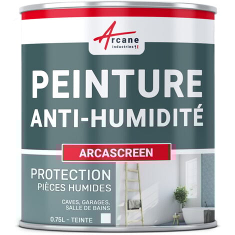 Peinture anti humidité pour mur humide en plâtre, béton, placo, cave et sous-sol, salle de bain, sdb,  anti moisissure, salpêtre, isolante :  Arcascreen - 0.75 L (jusqu'à 3 m²)  - ARCANE INDUSTRIES