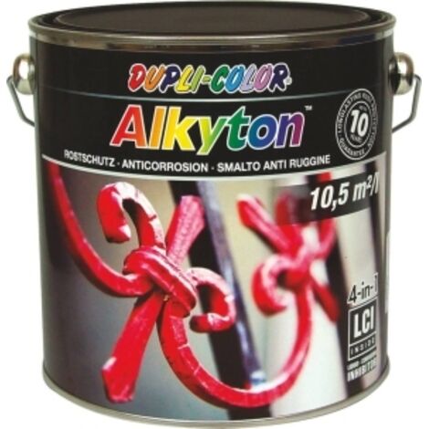 Peinture Anti Rouille Ral 9005 Mat En Pot 2.5l Dupli Color