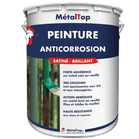 PEINTURE ANTICORROSION - 200 Couleurs