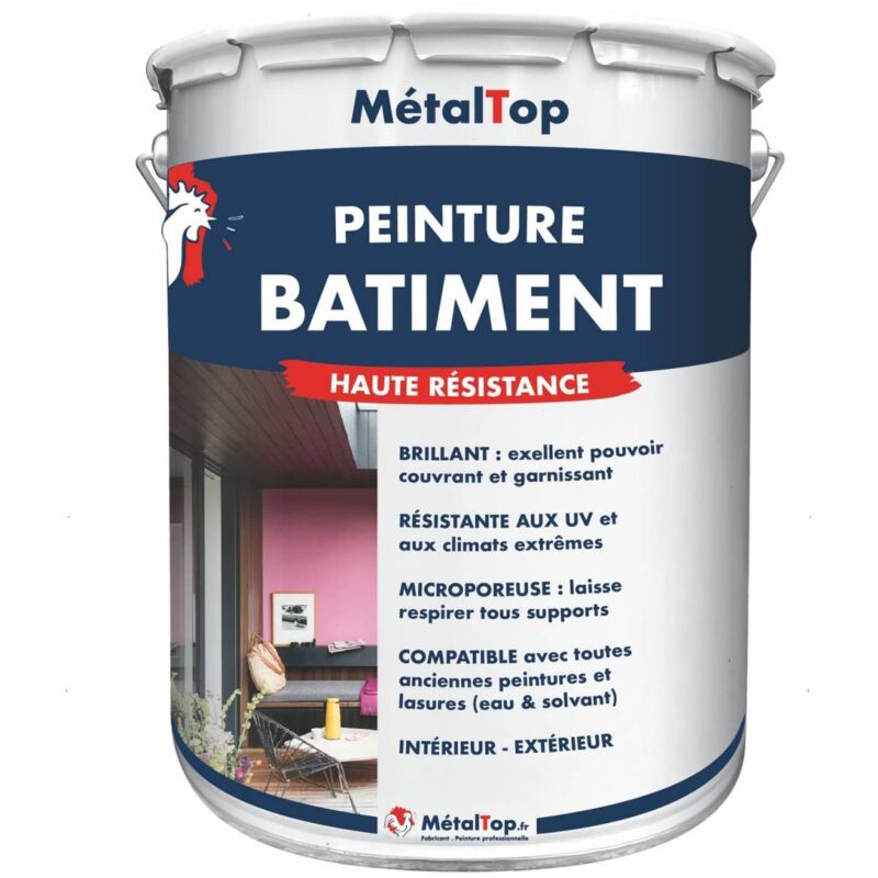 Peinture Batiment - Pot 1 l - 9007 - Aluminium gris Metaltop