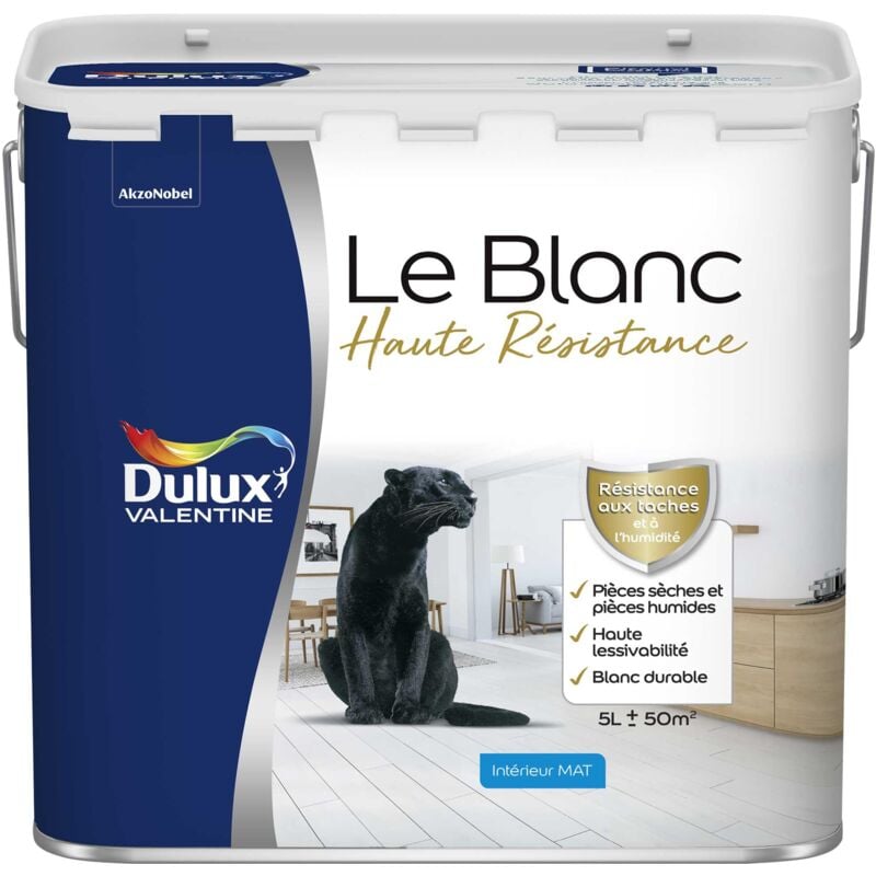 Peinture Blanche Haute Resistance Dulux Valentine Mat Blanc 5 l
