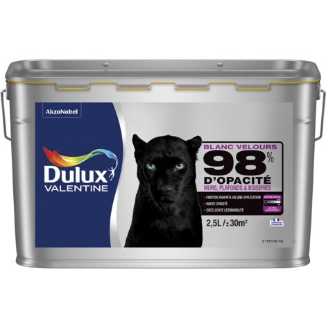 Peinture Blanche Velours pour Murs, Boiseries et Papier Peint - Dulux Valentine
