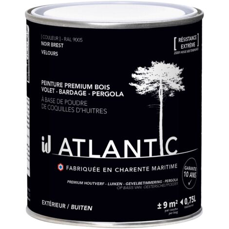 Peinture bois extérieurs - RAL 9005 Noir Brest - 750ML - ATLANTIC