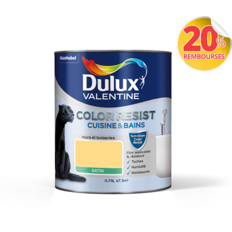 Peinture Couleur - Color Resist Cuisine & Bains - Dulux Valentine