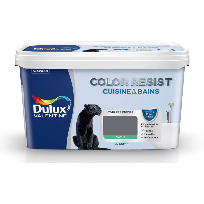 Peinture Color Resist Cuisine & Bains Satin Anthracite 2 l Dulux Valentine