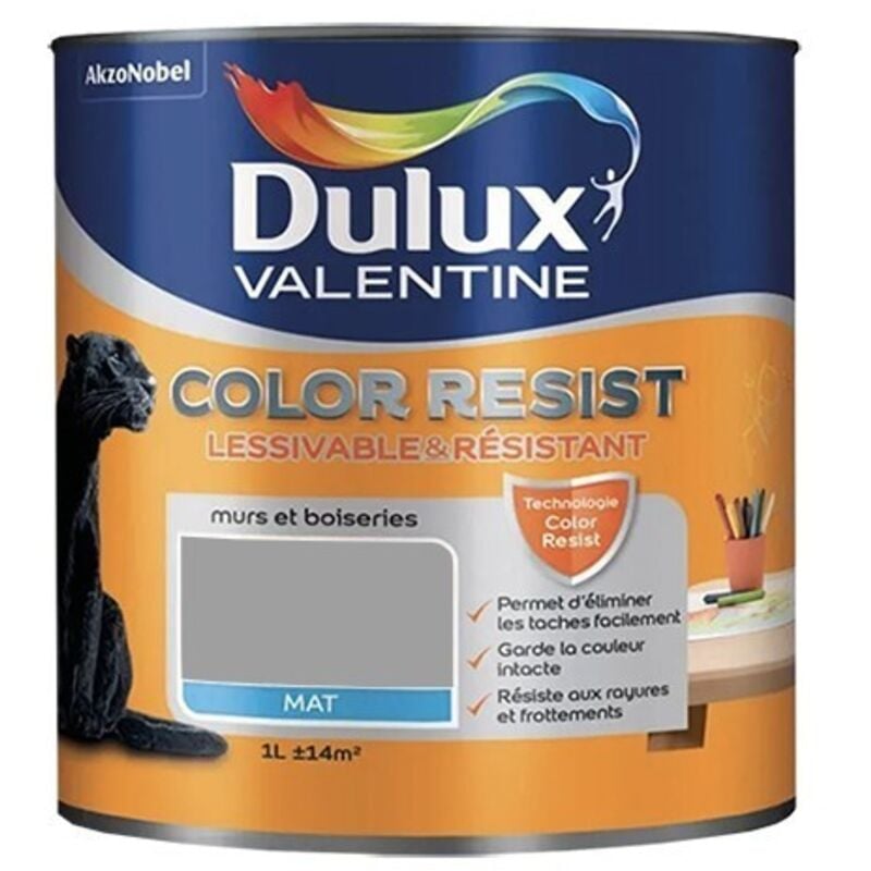 Dulux Valentine Peinture acrylique Color Resist Aluminium Mat 1 L