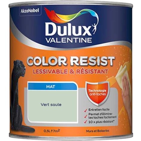 Peinture Couleur - Color Resist Murs & Boiseries - Dulux Valentine