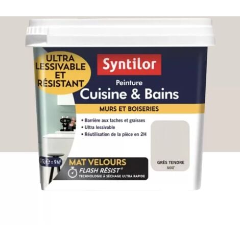 Peinture Cuisine & Bains SYNTILOR Grès tendre 0,75 L