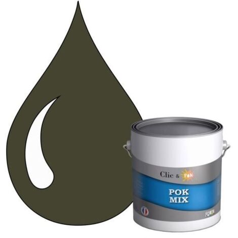 Peinture d'Accroche et Finition 2 en 1 - POK - POK MIX - Acrylique Satinée - RAL 7013 - 3L