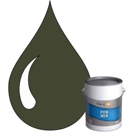 Peinture d'Accroche et Finition 2 en 1 - POK - RAL 6003 - Vert Olive - Satiné - 1L