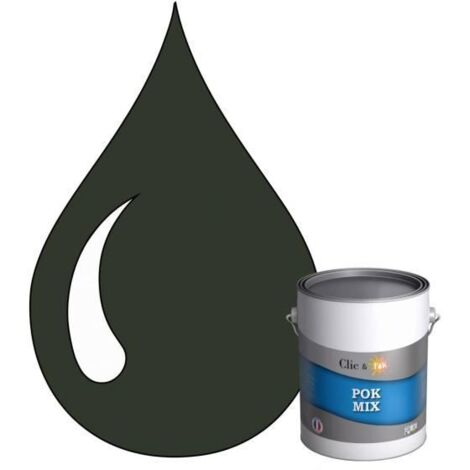 Peinture d'Accroche et Finition 2 en 1 - POK - RAL 6009 - Vert Sapin - Satiné - 1L