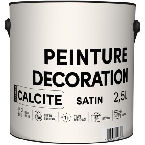 Peinture Décoration Satin - Tout Dans Le Prix