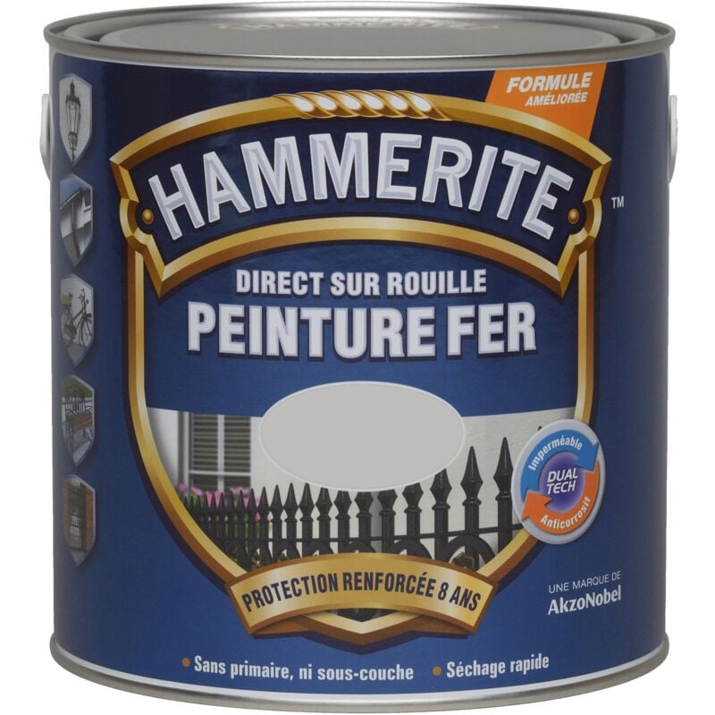 Hammerite - Peinture Direct Sur Rouille Laqué Argent 2,5 l