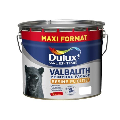 Blanc 12 L - Dulux Valentine - Blanc