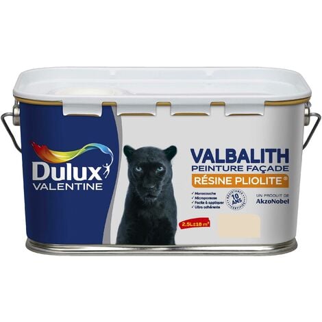 Dulux Valentine Peinture Ecran+ Multi-Supports Extérieure Façades - Crépis,  Briques, Ciment, Enduit, Alu, Zinc, PVC - Couleur Longue Tenue - Mat Gris