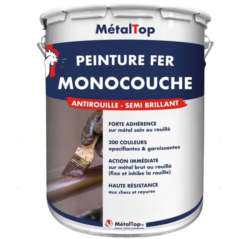 Peinture Fer Monocouche - Pot 1 L - 5015 - Bleu ciel - Metaltop