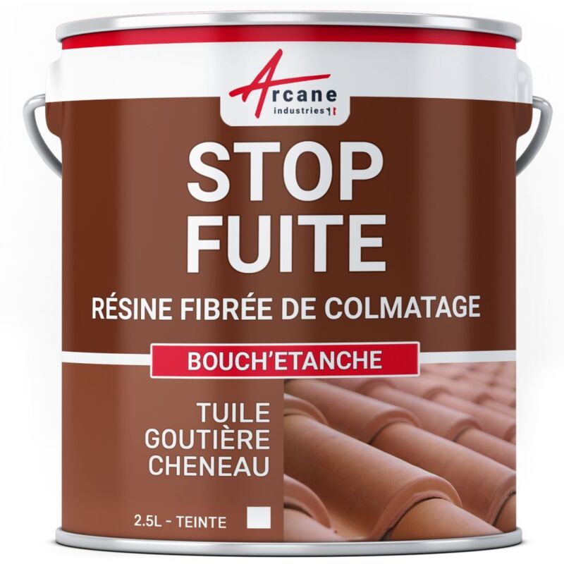 Arcane Industries - bouchetanche - Peinture fibrée de colmatage fuite réparation étanchéité tuile gouttière cheneau trou fissure - 2.5 l Blanc