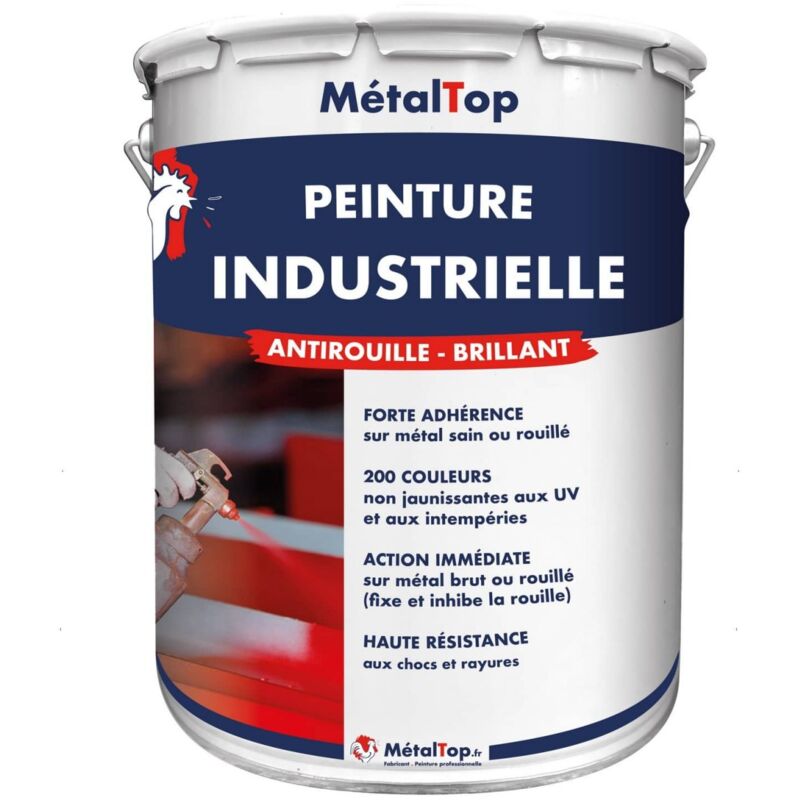 Metaltop - Peinture Industrielle - Pot 5 l - 4010 - Télémagenta