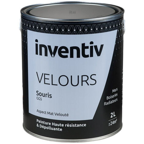 Peinture Inventiv Velours Souris GG5 - Haute résistance - 2L