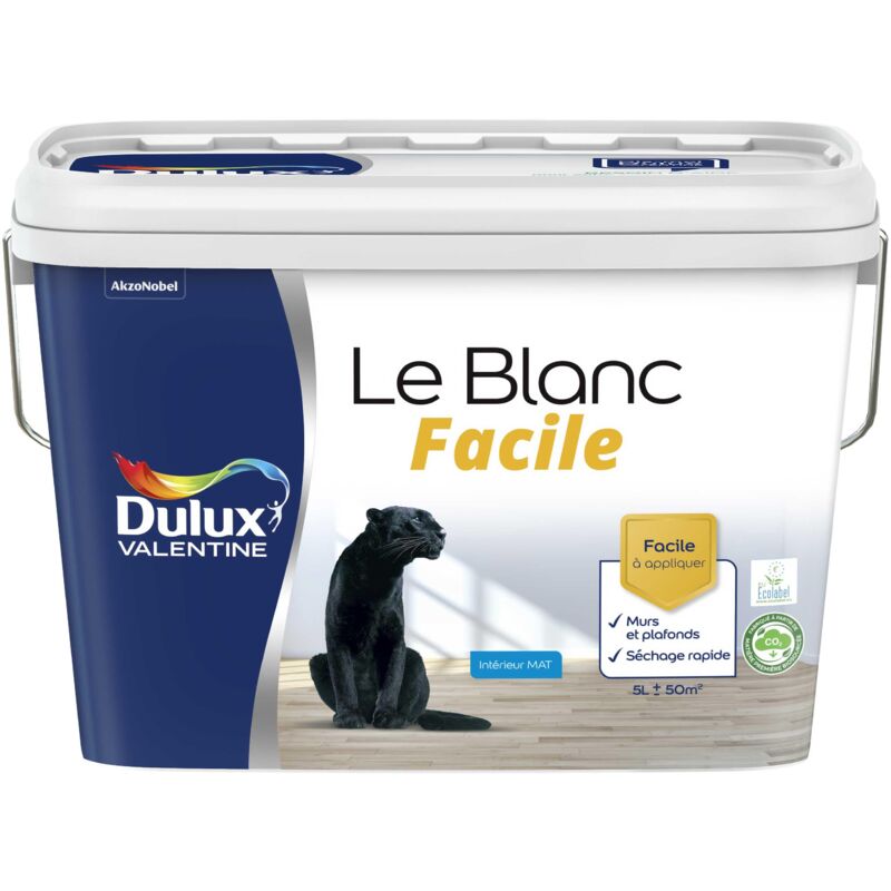 Peinture Le Blanc Facile Dulux Valentine Mat Blanc 5 l