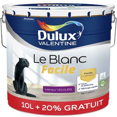 Peinture Le Blanc Facile - Dulux Valentine