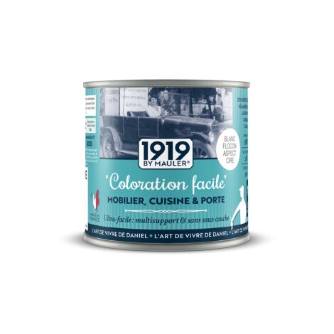 Peinture meuble, cuisine, crédence "Coloration Facile" - blanc 0,5L - aspect cire blanc