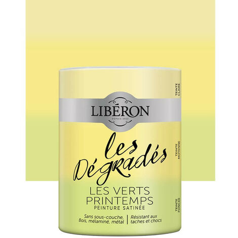 Peinture meuble LIBÉRON 'Les Dégradés' Les Verts Printemps 0,6 L