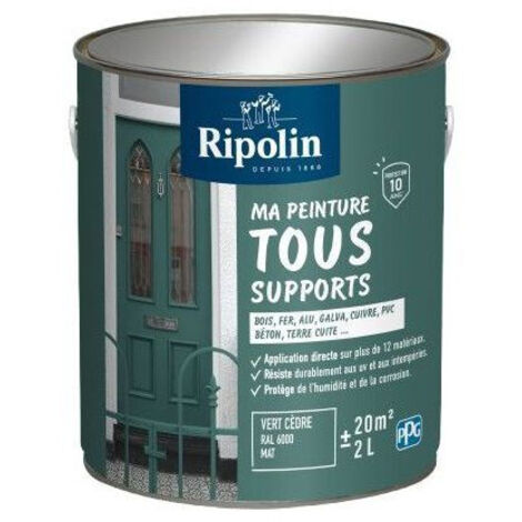 Peinture multi-support Ripolin Vert cèdre RAL 6000 Mat 2L