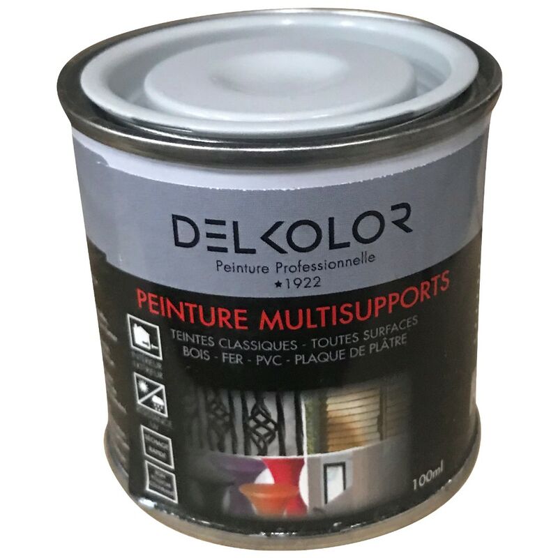 Peinture multisupports RAL 7001 Gris  argent  100ml 