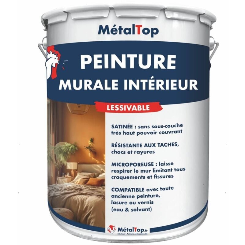 Peinture Murale Interieur - Pot 5 l - 5008 - Bleu gris Metaltop
