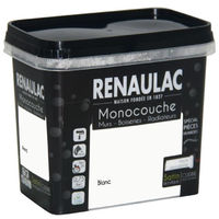 Avis Sur Douze Peintures Monocouches Blanche