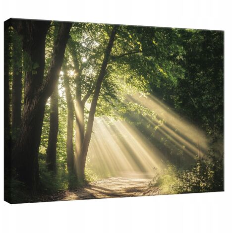 Peinture Murale sur toile fort nature arbres pour chambre salon cuisine 100x70