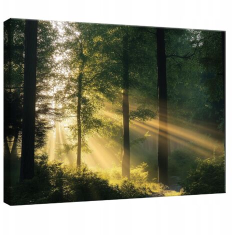 Peinture Murale sur toile fort nature arbres pour chambre salon cuisine 60x40