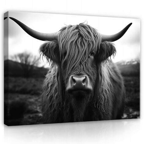 Peinture Murale sur toile vache écossaise pour chambre  coucher salon moderne 120x80