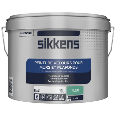 Peintures velours, Intérieur, Peintures
