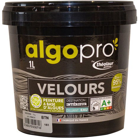 Peinture naturelle bio-sourcée à base d’huile végétale et d’algues idéale pour les murs : Algo Pro velours